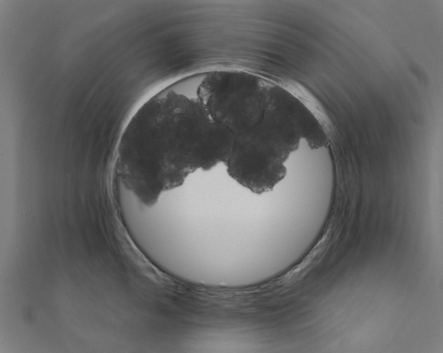 X0000111231052200907301242