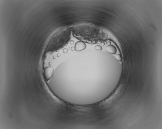 X0000111231053200907301242