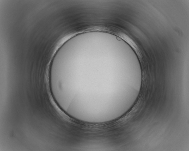 X0000111231055200907301242