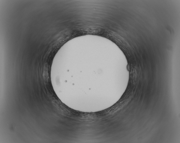 X0000111231058200907301241