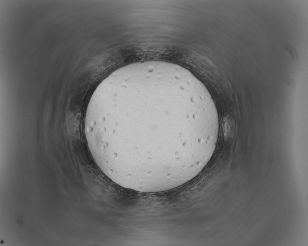 X0000111231059200907301241