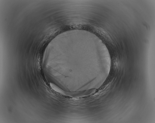 X0000111231060200907301241
