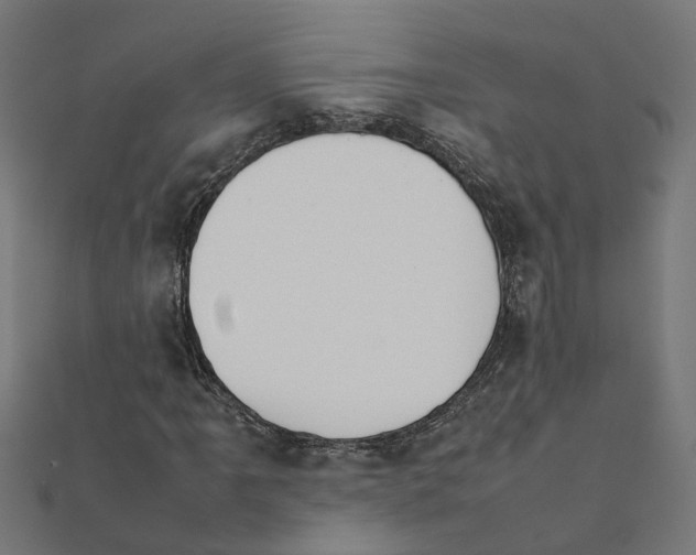 X0000111231061200907301241