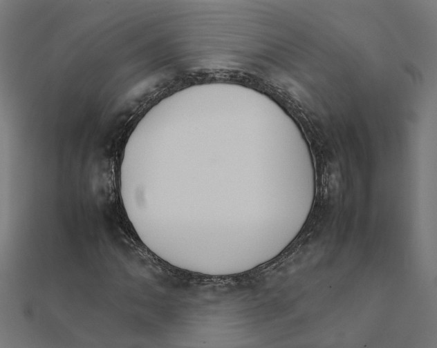X0000111231062200907301241