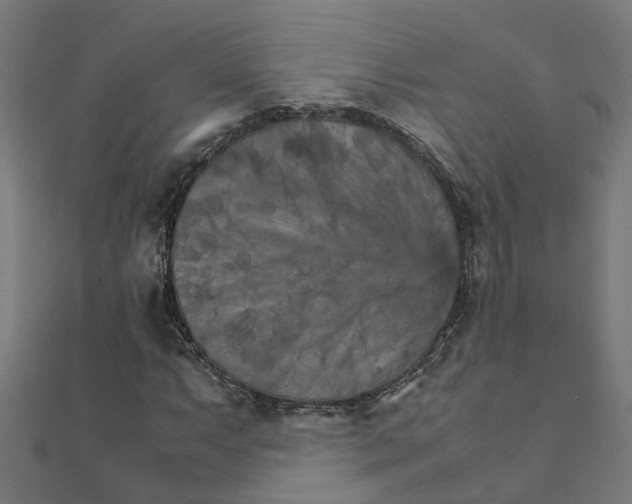 X0000111231063200907301241
