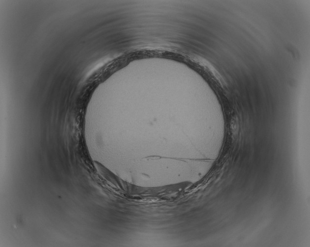 X0000111231064200907301241