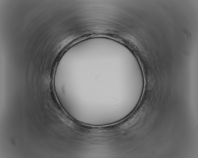 X0000111231065200907301241