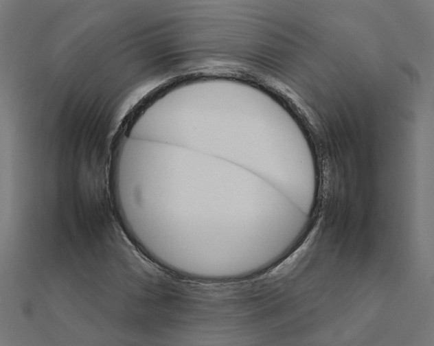 X0000111231066200907301241