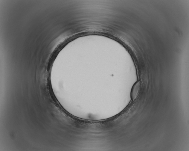 X0000111231067200907301241