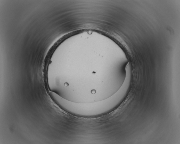 X0000111231068200907301241