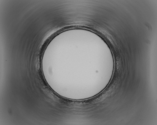 X0000111231069200907301241