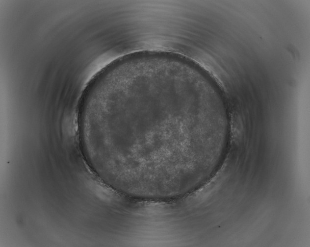 X0000111231070200907301241