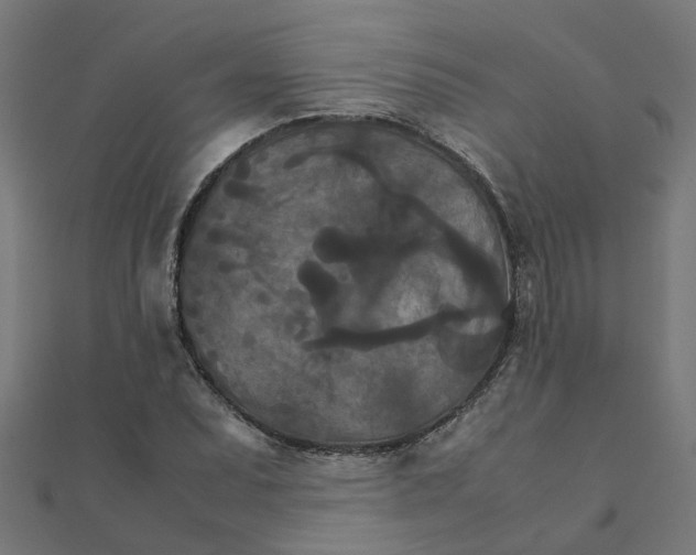 X0000111231071200907301241