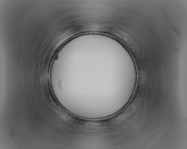 X0000111231073200907301241