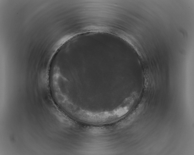 X0000111231074200907301241