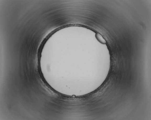 X0000111231076200907301241