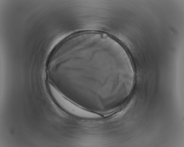 X0000111231077200907301241