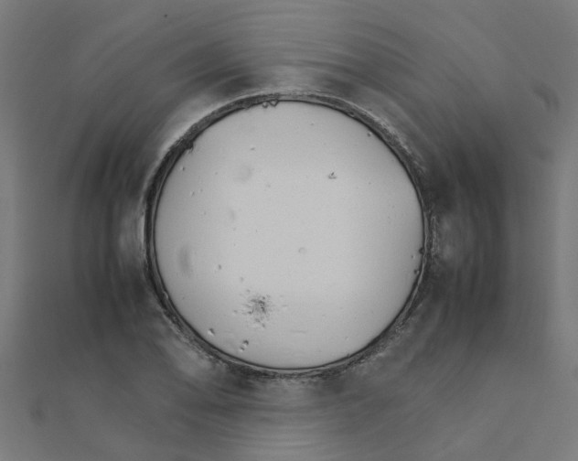 X0000111231078200907301241