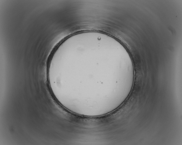 X0000111231079200907301241