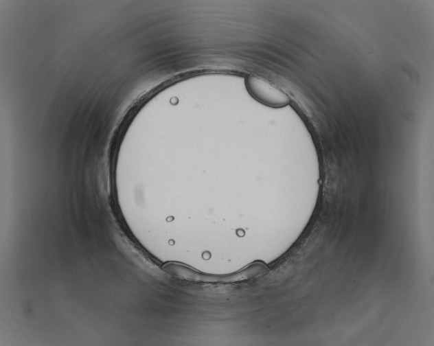 X0000111231080200907301241