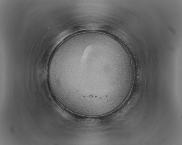 X0000111231081200907301241