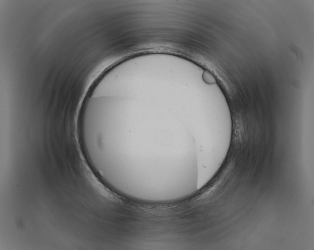 X0000111231082200907301241