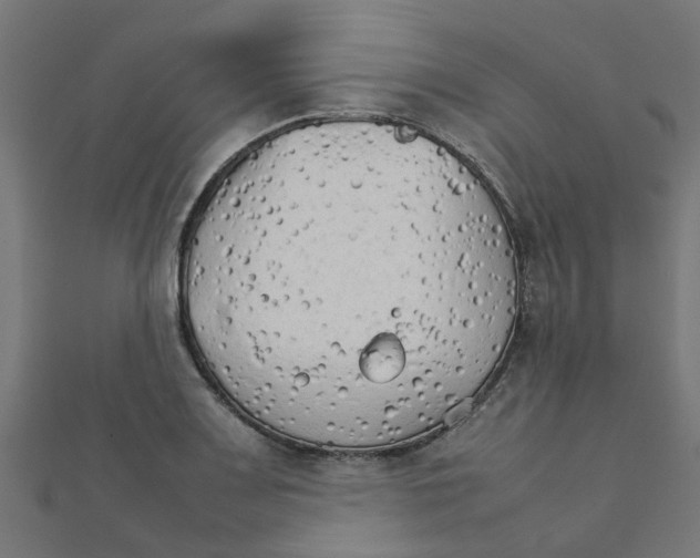 X0000111231083200907301241