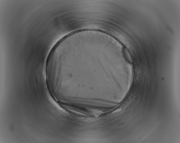 X0000111231084200907301241