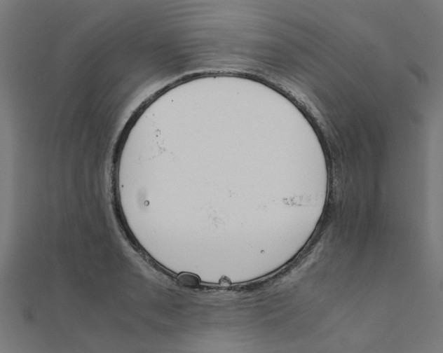 X0000111231085200907301241