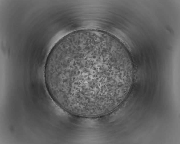 X0000111231086200907301241