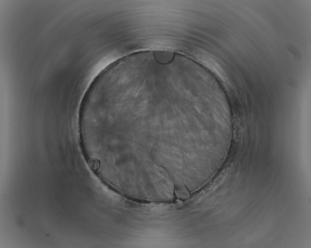 X0000111231087200907301241