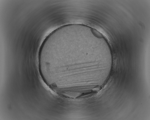 X0000111231088200907301241