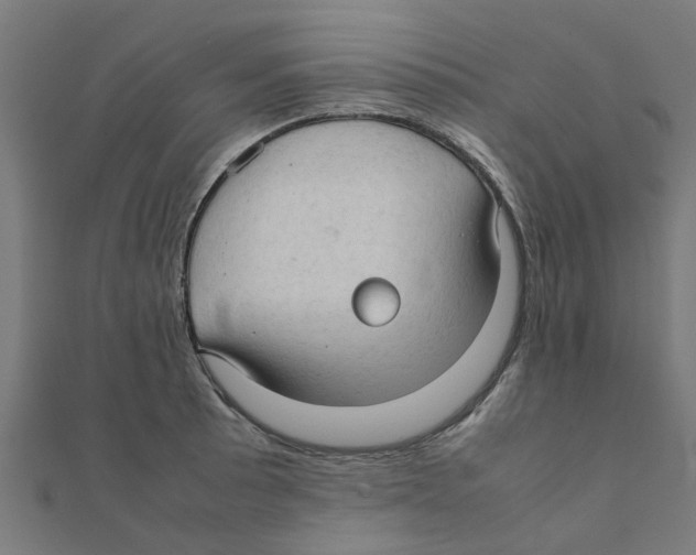 X0000111231089200907301241