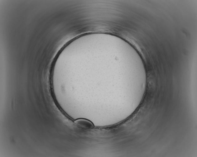 X0000111231091200907301241