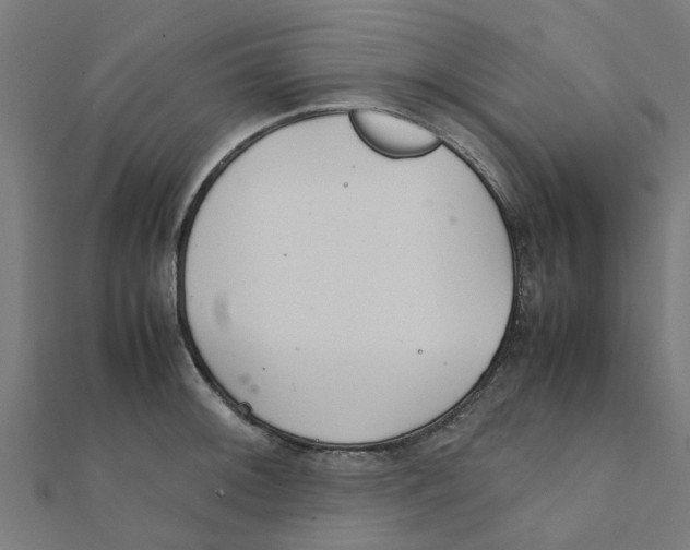 X0000111231092200907301241