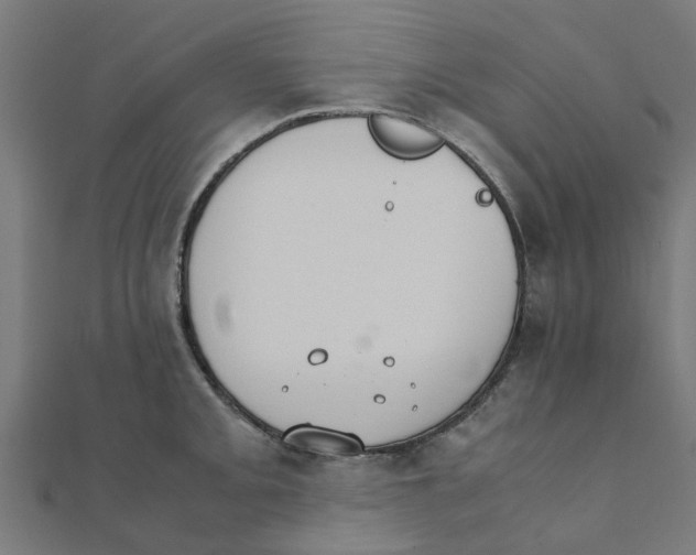 X0000111231093200907301241