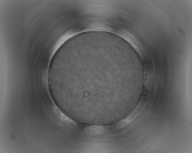 X0000111231094200907301241