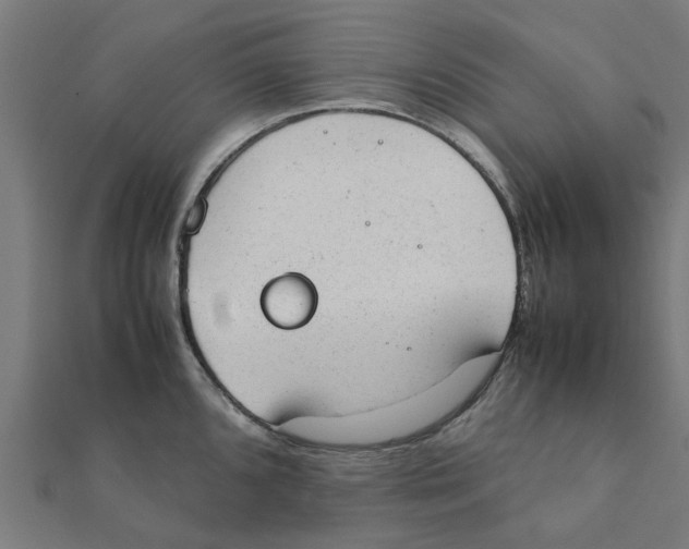 X0000111231096200907301241