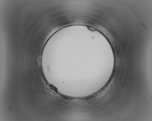 X0000111231097200907301241