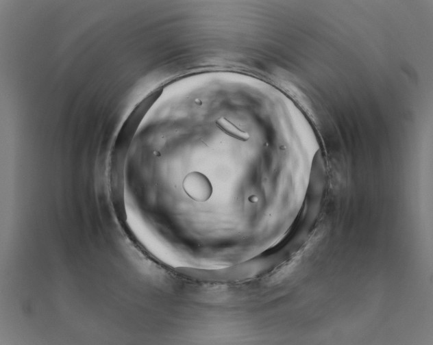 X0000111231098200907301241