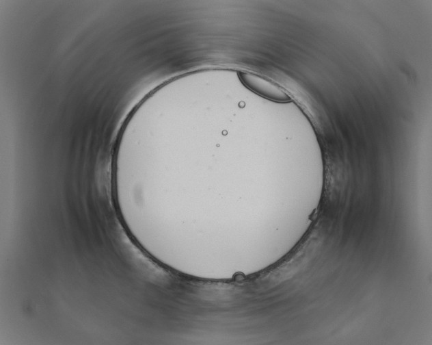 X0000111231100200907301241