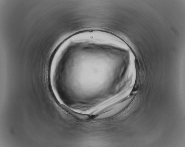 X0000111231101200907301241