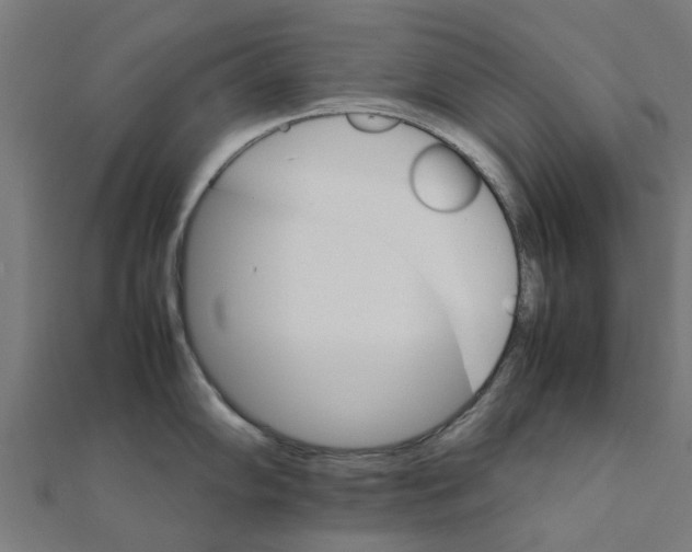 X0000111231102200907301241
