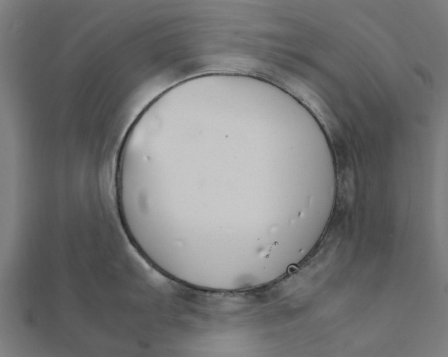 X0000111231103200907301241