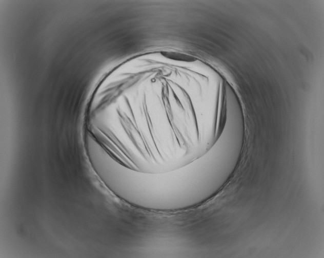 X0000111231104200907301241