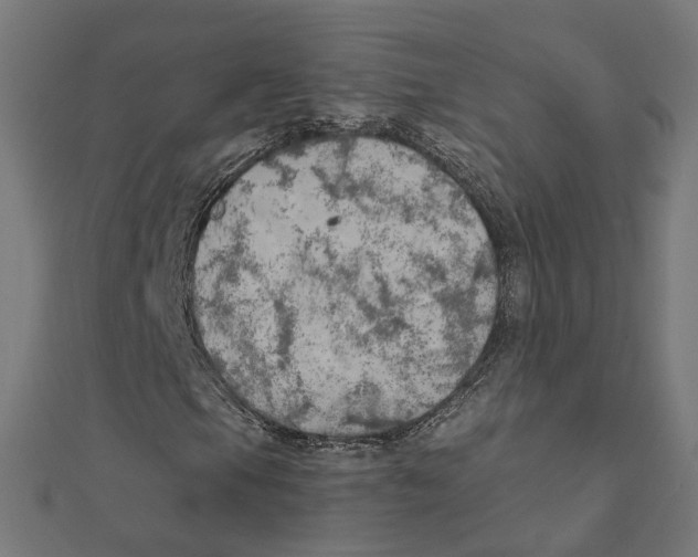 X0000111231105200907301240