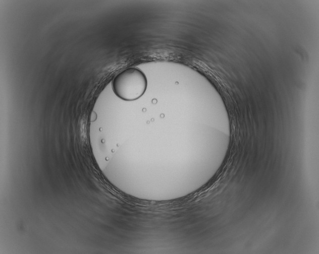 X0000111231106200907301240