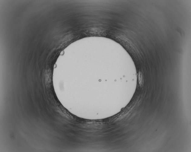 X0000111231107200907301240