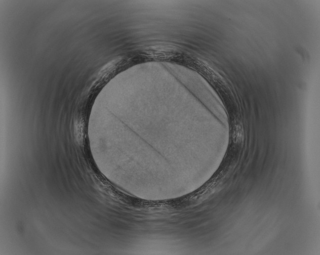 X0000111231108200907301240