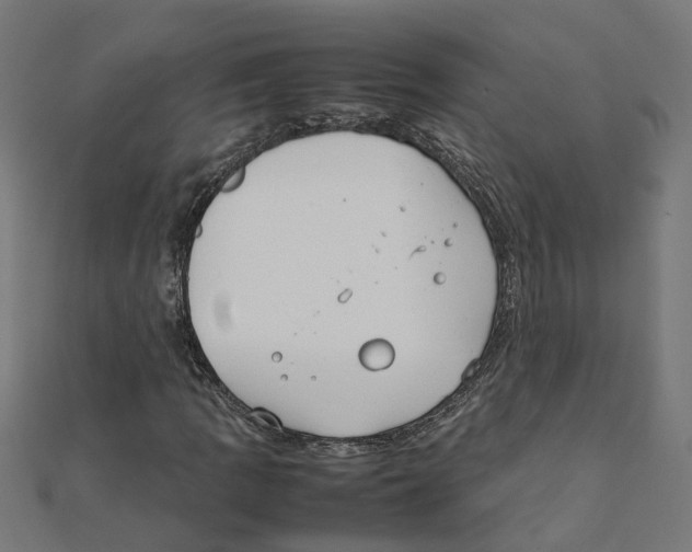 X0000111231109200907301240